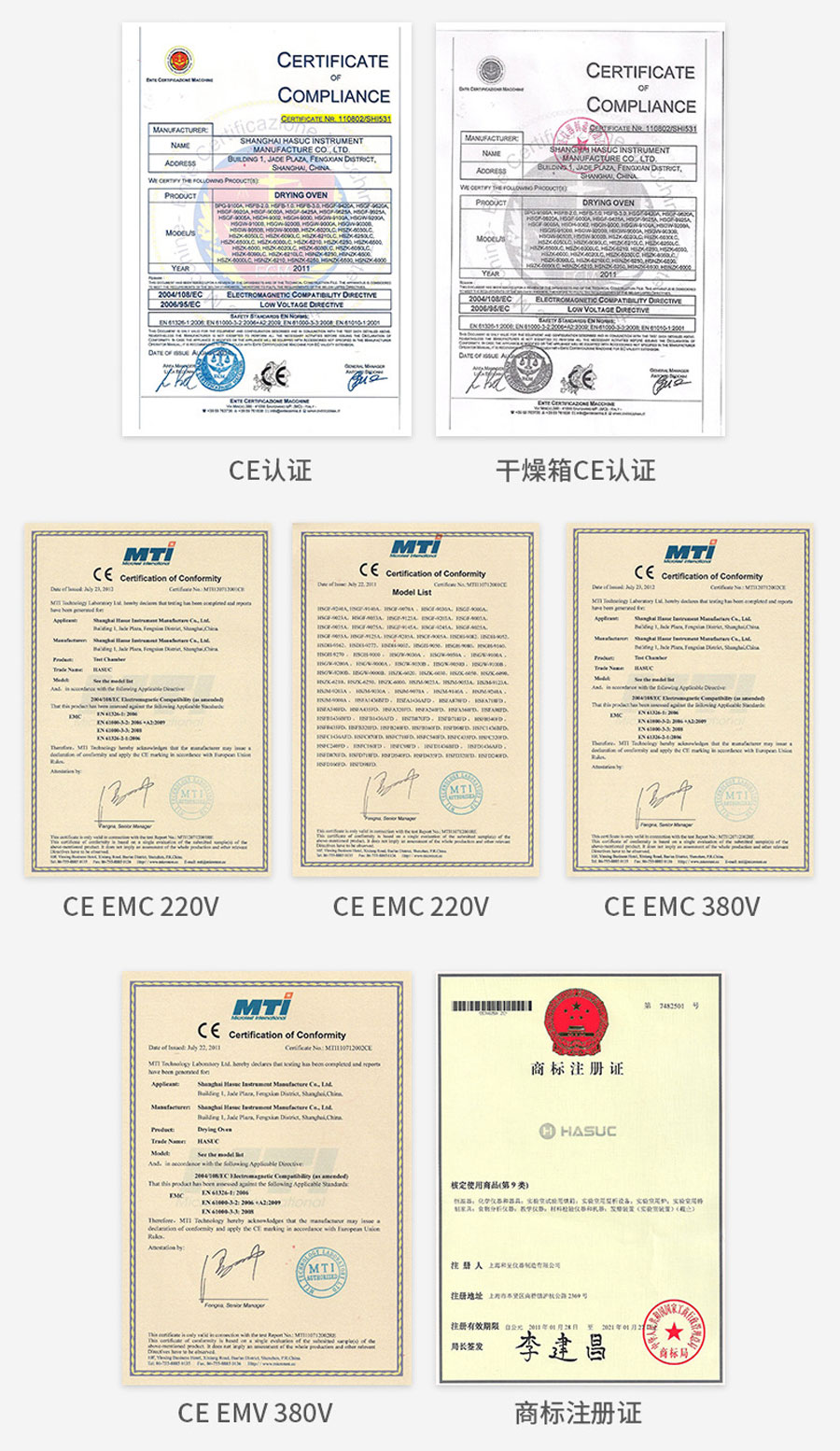 電熱恒溫鼓風干燥箱（250度）